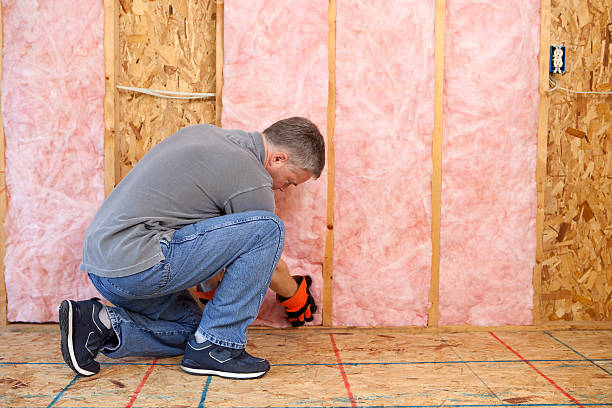 Best Eco-Friendly Insulation in Plymouth, OH
